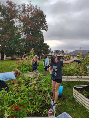Students working in the garden