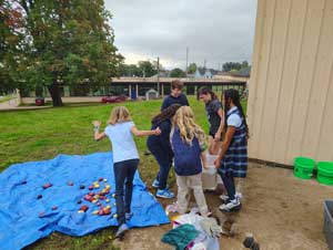 Students washing potatoes in bins of water