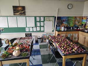 Fall harvest displayed on tables