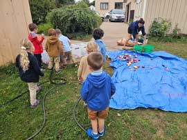 Students looking at potatoes
