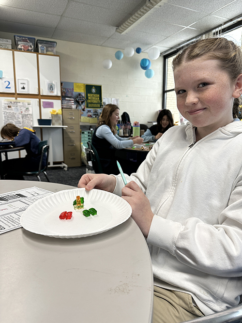 Sixth grade students studying forms of government using gummy bears