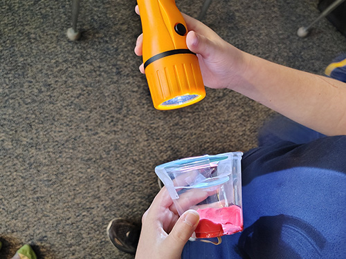 student shining a light into a clear cup with something red and pink in the bottom
