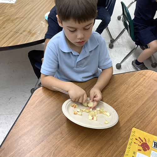 Preschool boy slicing apples