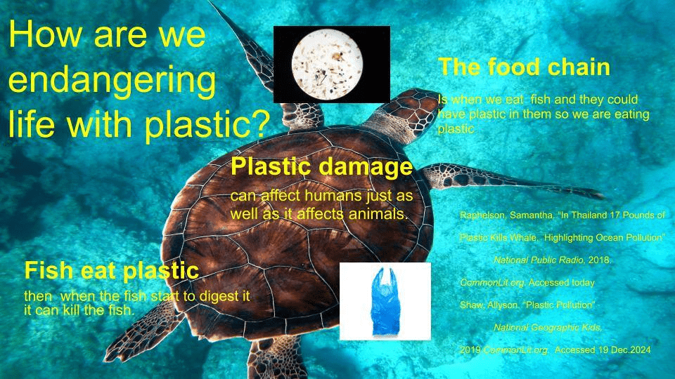 How are we endangering life with plastic slide